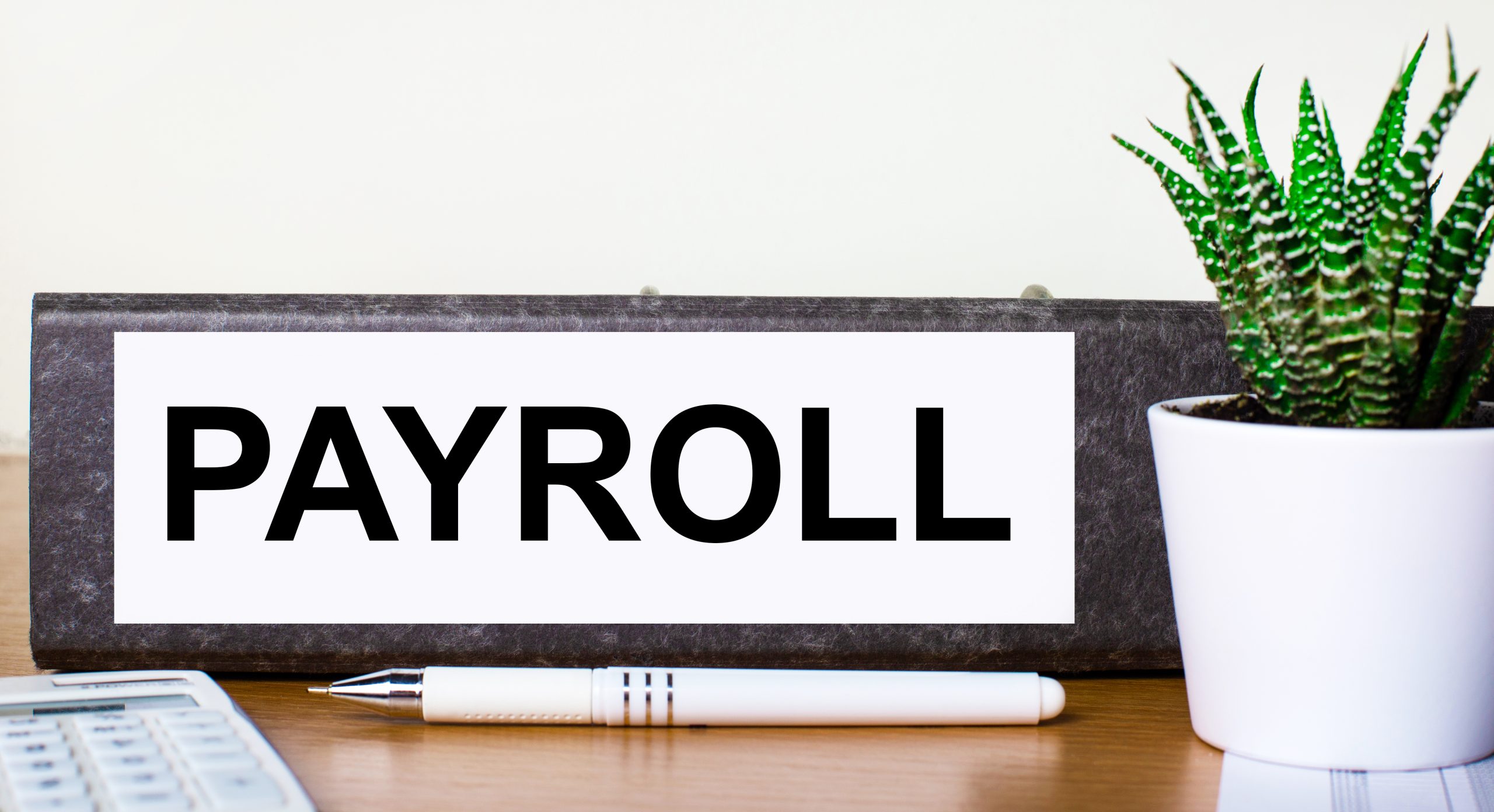 payroll software in kenya