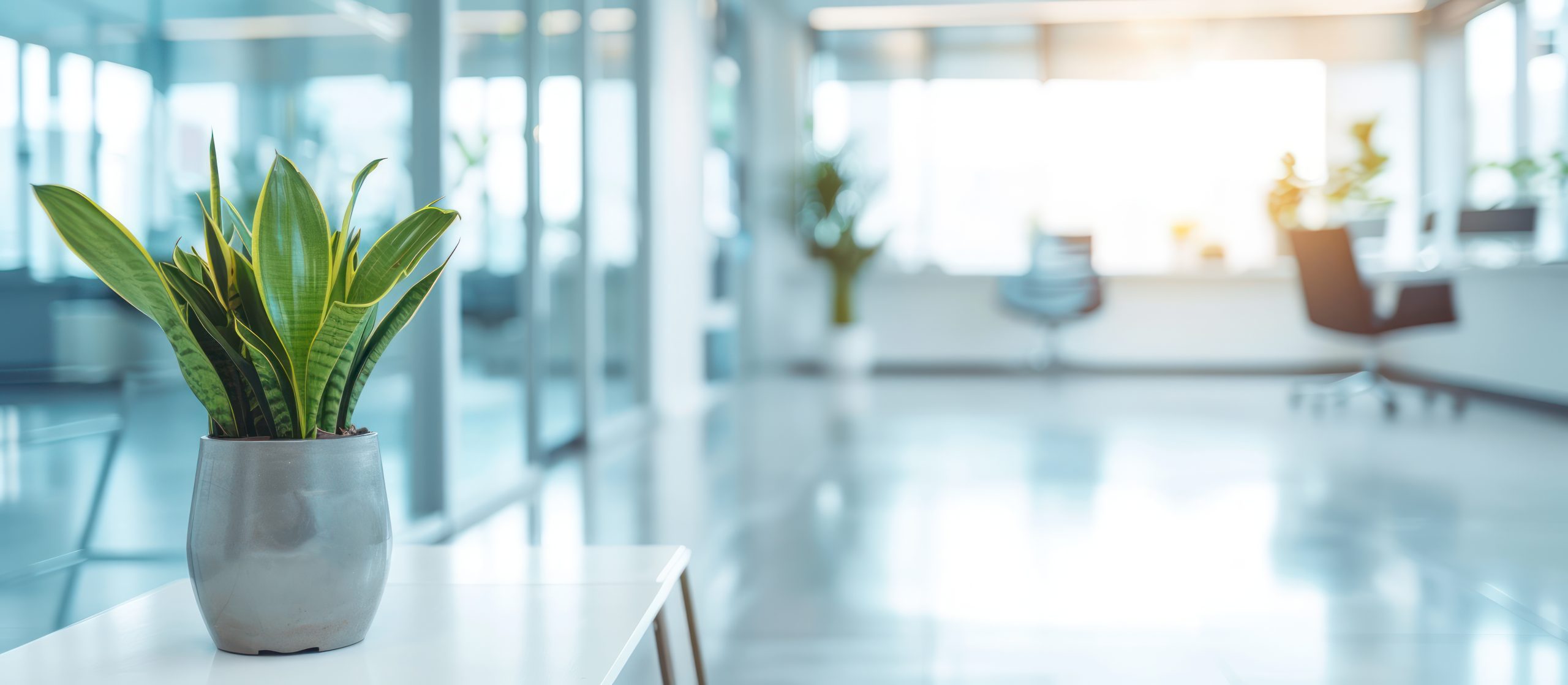 How to Choose the Best Payroll Software for Your Business